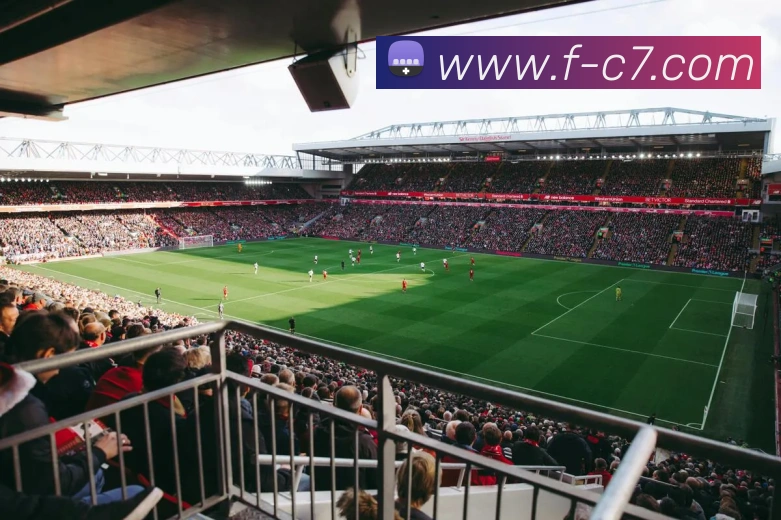 App Interface Preview