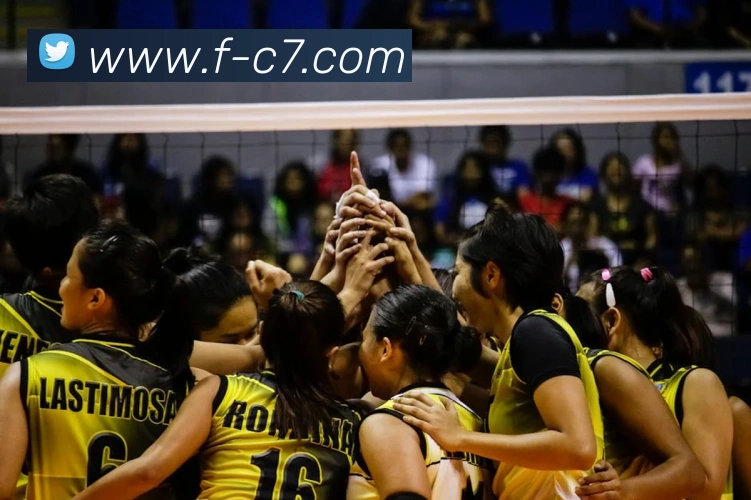 c7娱乐APP 封面图